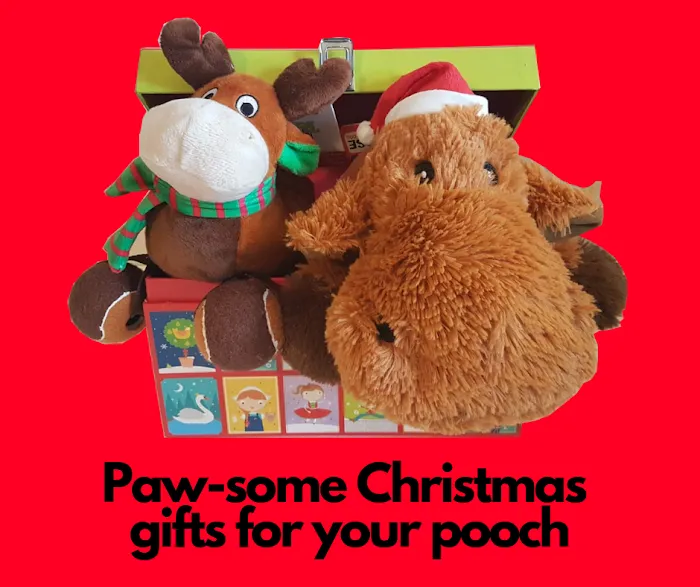 Steff's Pets Picture 1