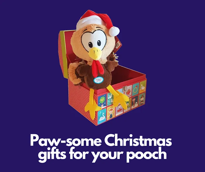 Steff's Pets Picture 4