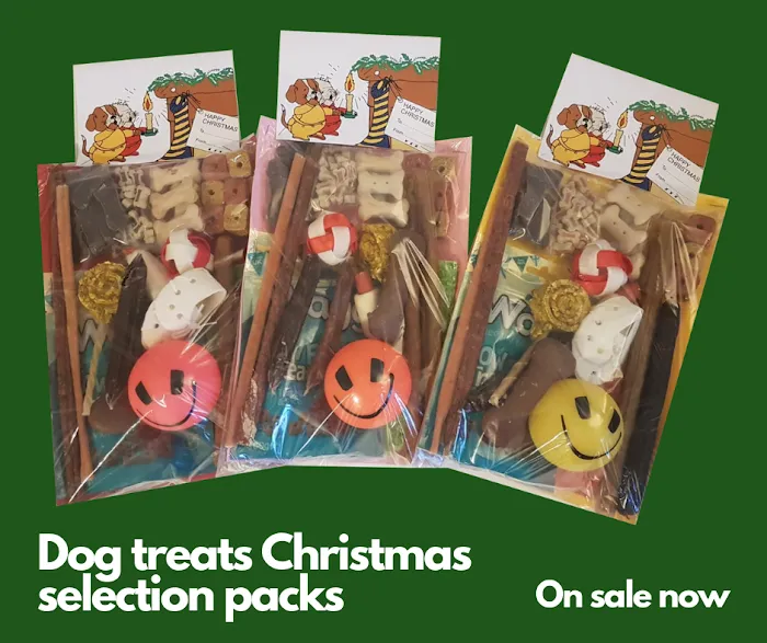 Steff's Pets Picture 5