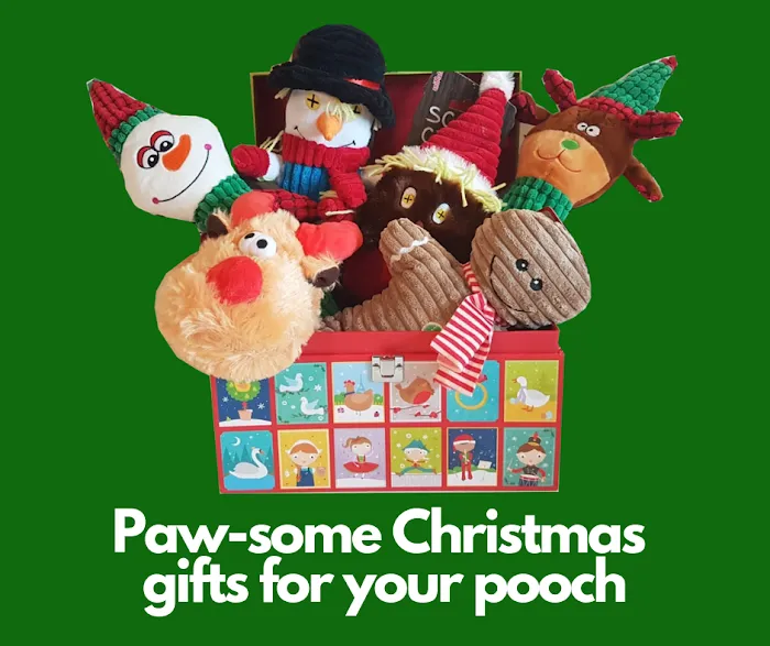 Steff's Pets Picture 7