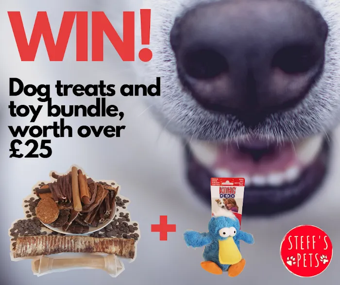 Steff's Pets Picture 6