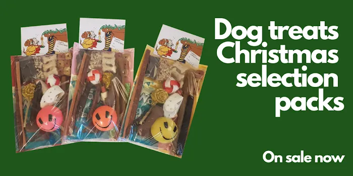 Steff's Pets Picture 9