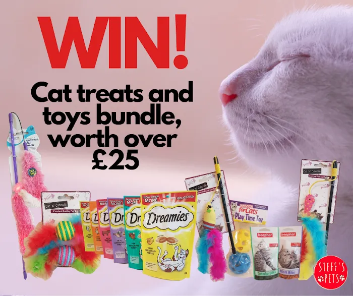 Steff's Pets Picture 10