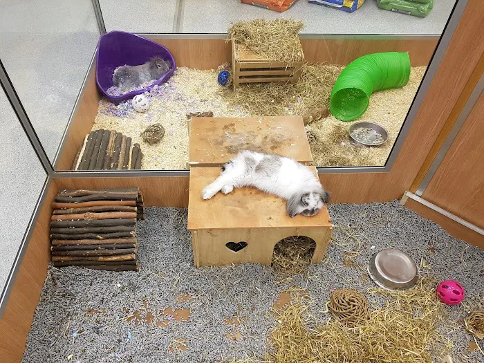 Pets at Home Blackburn Picture 2