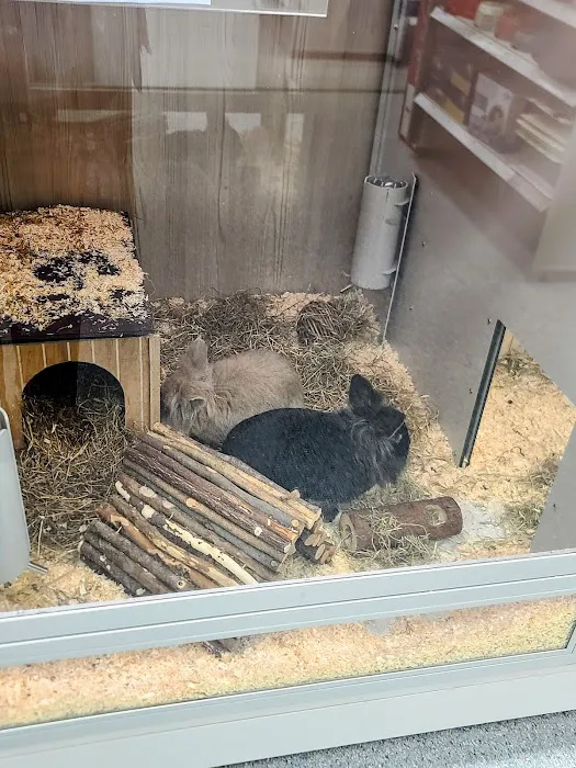 Pets at Home Blackburn Picture 6