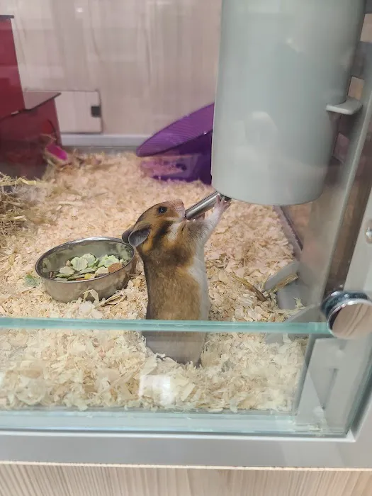 Pets at Home Blackburn Picture 9