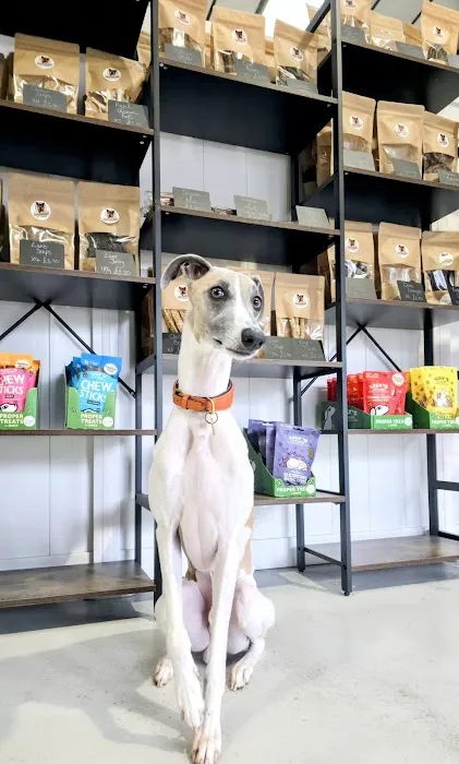 Barks Allowed Picture 3