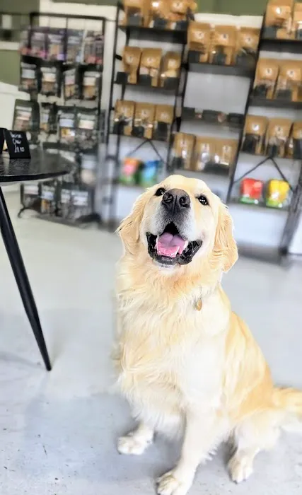 Barks Allowed Picture 2