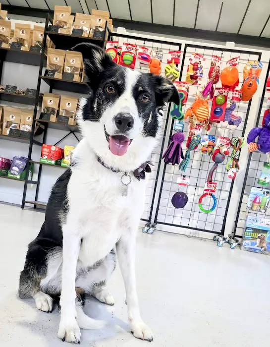 Barks Allowed Picture 8