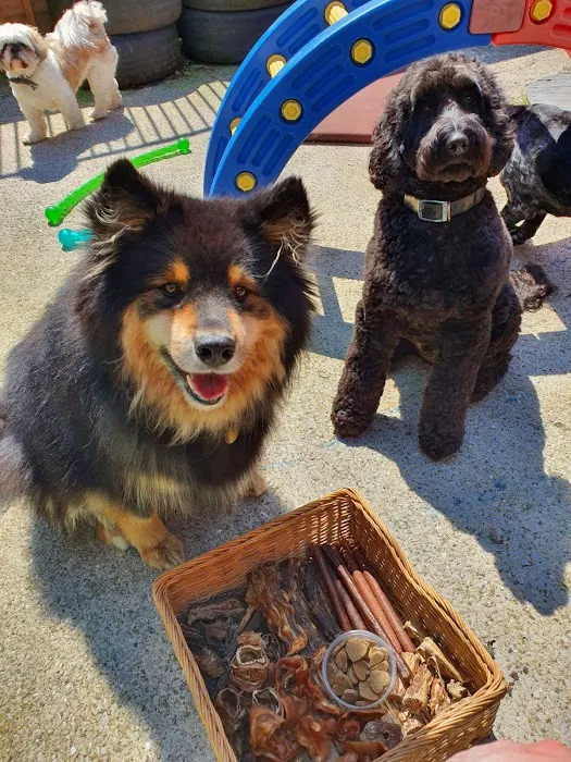 The Animal Garden Picture 5