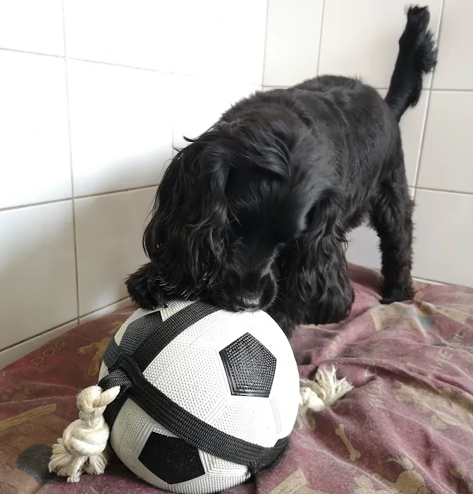 The Animal Garden Picture 4