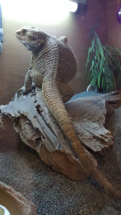 The Animal Garden Picture 7