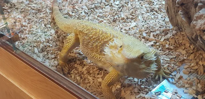 The Animal Garden Picture 10