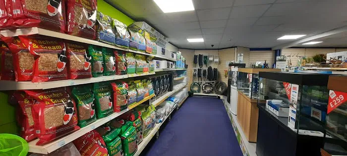 Aquamania Superstore Picture 7