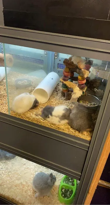 Aquamania Superstore Picture 6