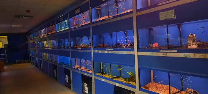 Aquamania Superstore Picture 4