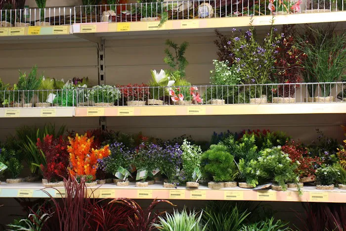 Aquamania Superstore Picture 8