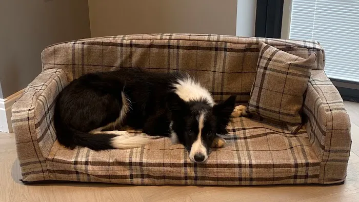 Pet Beds Direct Picture 1