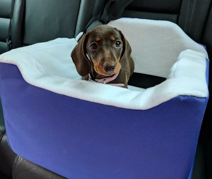 Pet Beds Direct Picture 3