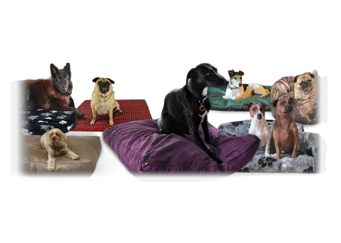 Pet Beds Direct Picture 6