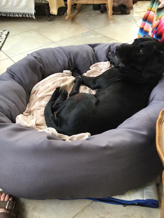 Pet Beds Direct Picture 9