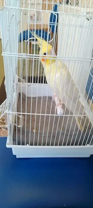 Battle Flatts Veterinary Clinic - Strensall Picture 3