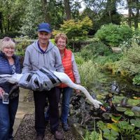 Yorkshire Swan Rescue Hospital ico