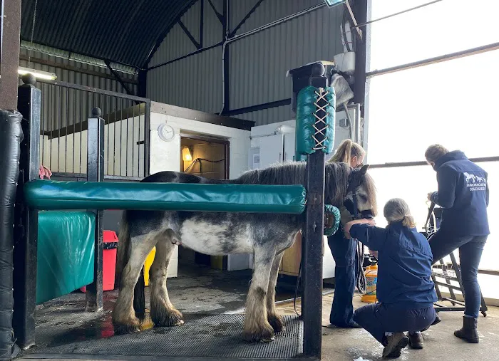 Station House Vets Small Animal & Equine Practice Picture 2
