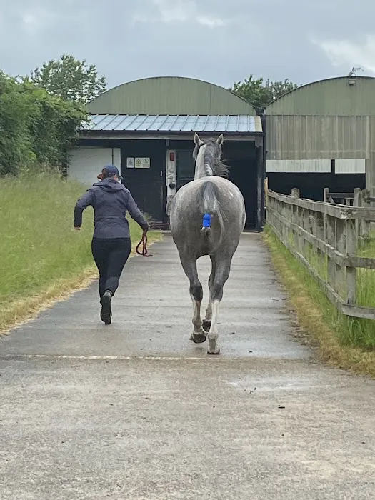 Station House Vets Small Animal & Equine Practice Picture 1