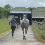 Station House Vets Small Animal & Equine Practice