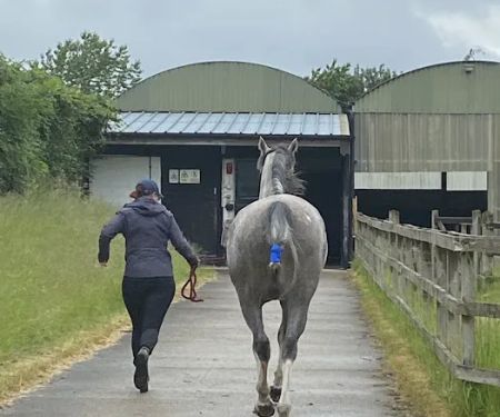 Station House Vets Small Animal & Equine Practice