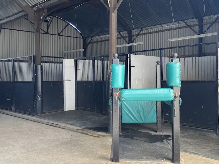 Station House Vets Small Animal & Equine Practice Picture 8