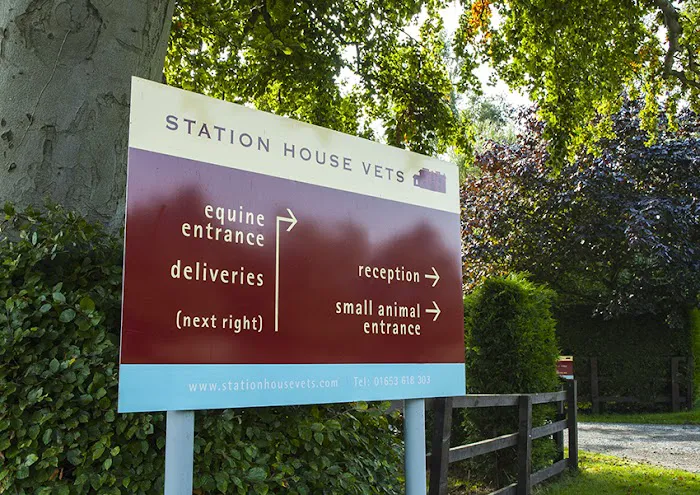 Station House Vets Small Animal & Equine Practice Picture 7