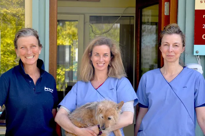 Station House Vets Small Animal & Equine Practice Picture 9