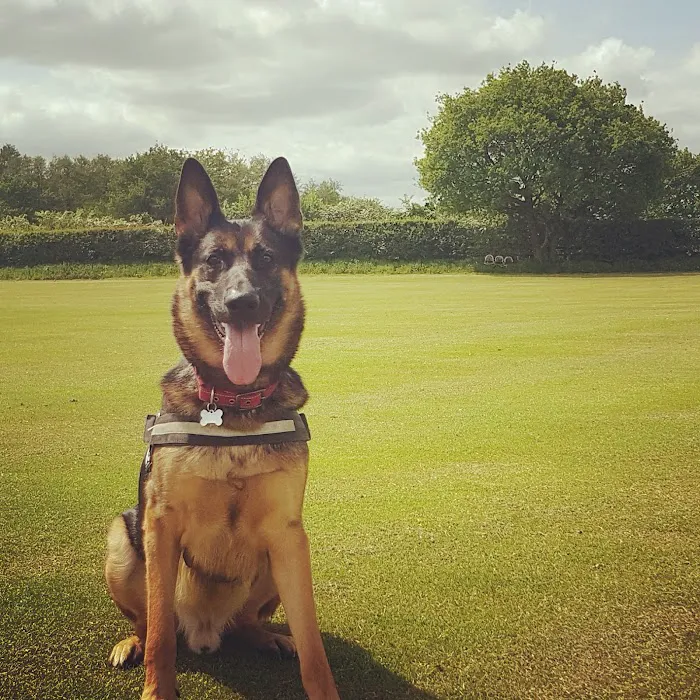 Howells Veterinary Services Ltd Picture 4