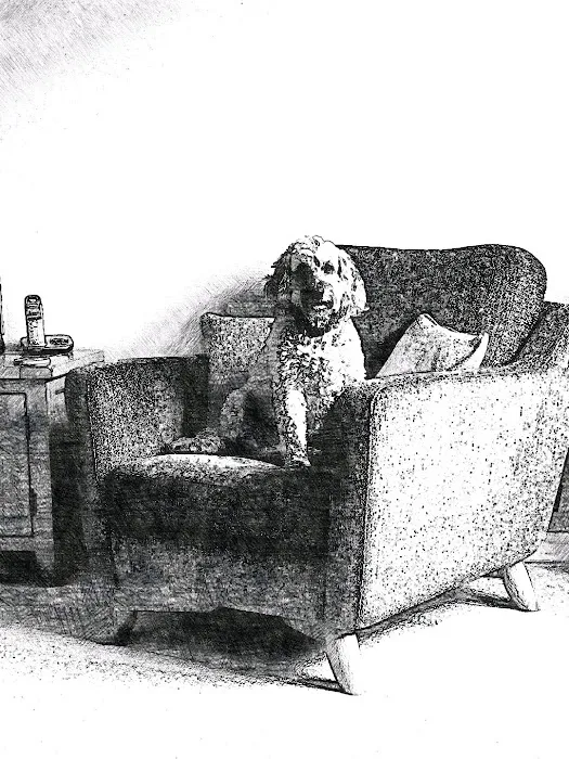 Howells Veterinary Services Ltd Picture 5
