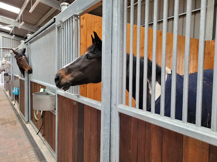 Equine Reproductive Services (UK) Ltd Picture 1