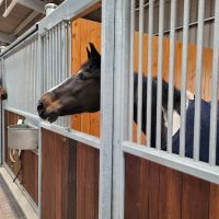 Equine Reproductive Services (UK) Ltd ico