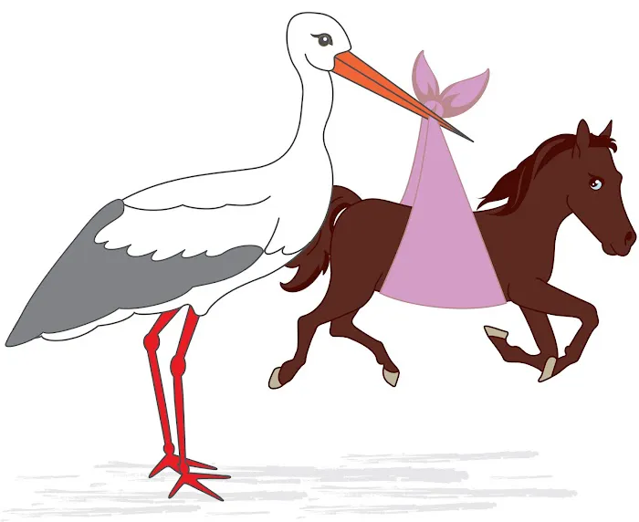 Equine Reproductive Services (UK) Ltd Picture 6