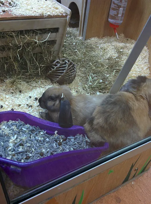 Pets at Home Guiseley Picture 3