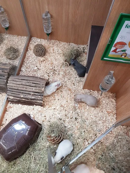 Pets at Home Guiseley Picture 5