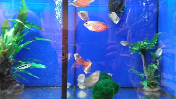 Pets at Home Guiseley Picture 7