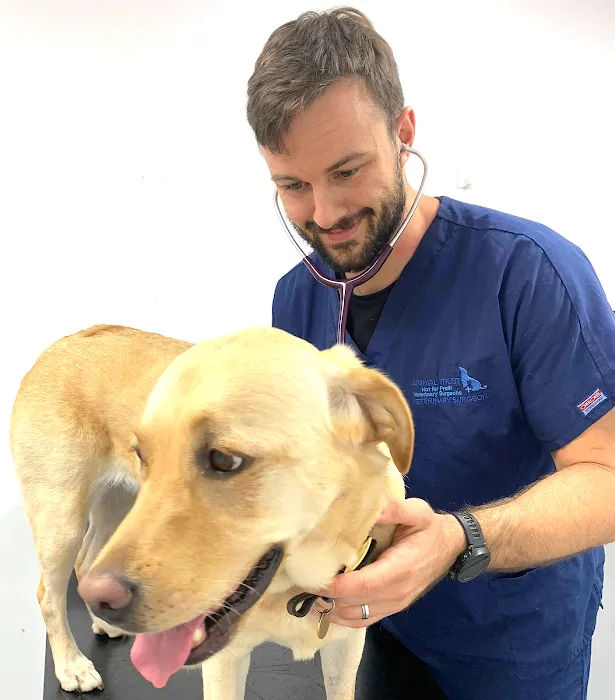 Animal Trust Vets CIC - Blackburn Picture 6
