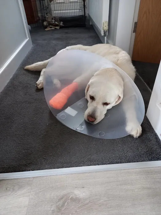 Pets at Home Bradford Idle Picture 1