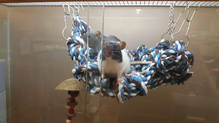 Pets at Home Bradford Idle Picture 4