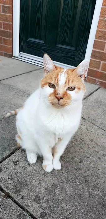 Pets at Home Bradford Idle Picture 8