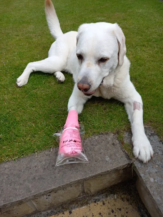 Pets at Home Bradford Idle Picture 6