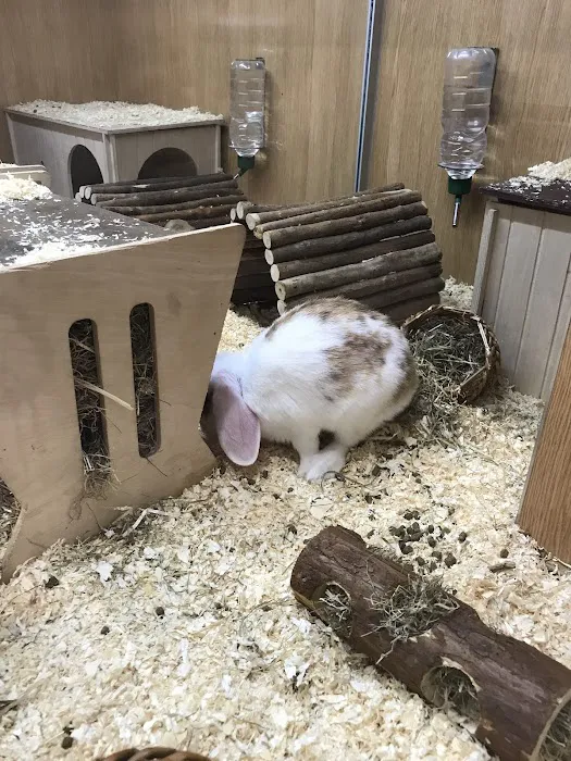 Pets at Home Leeds Kirkstall Picture 2