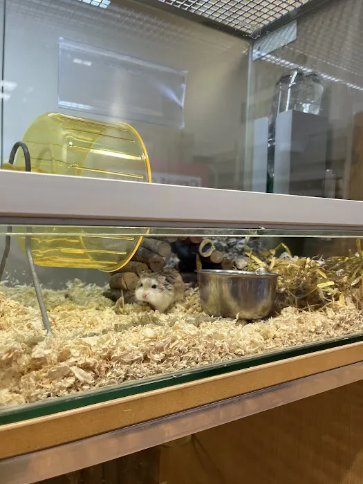 Pets at Home Leeds Kirkstall Picture 3