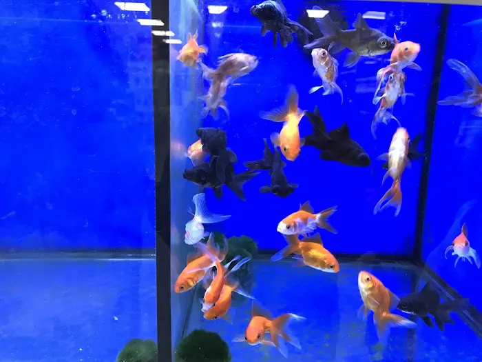 Pets at Home Leeds Kirkstall Picture 6